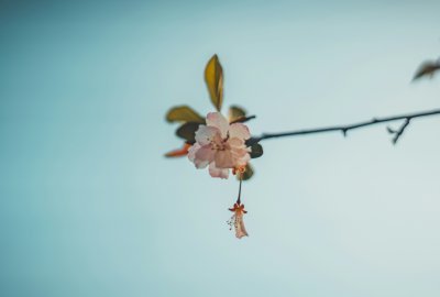 AI Dependency is Looming